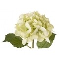 Изкуствени цветя, Hydrangea Gioiosa, Bizzotto, 52 см, зелени